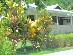 Beau Vallon Bungalows