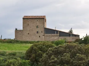 La Torre Del Codina
