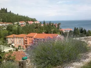 Heart of Strunjan Apartments Al
