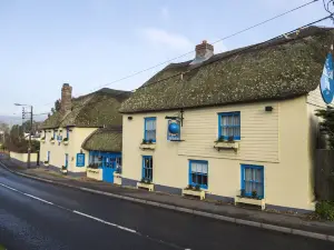 ブルー ボール イン