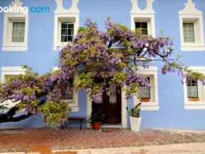 The Blue House