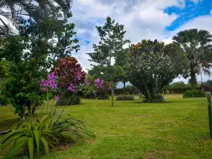 Hôtel Jardines Arenal