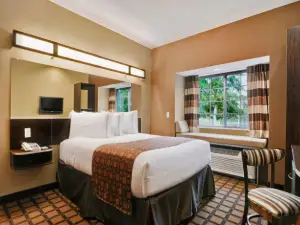 Microtel Inn & Suites by Wyndham Buda Austin South