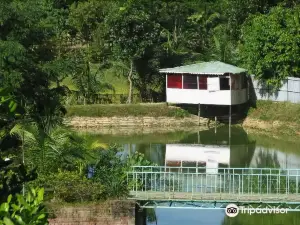 Excelsior Sylhet Hotel & Resort