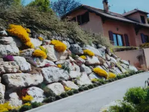 Les Roches Fleuries