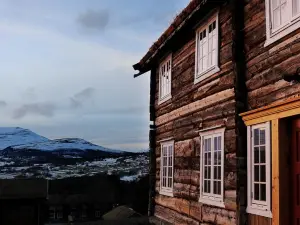 Bjerkeløkkja Bed and Breakfast