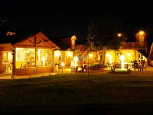 Logis Hôtel Volcan Sancy