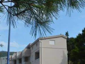Apartment Vela