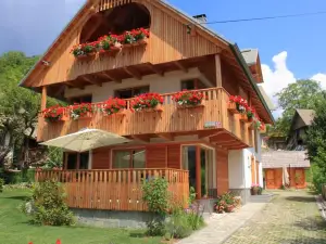 Apartments Vila Jelka