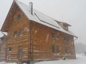 Valea Vistisoarei