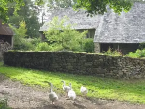 The Bakehouse