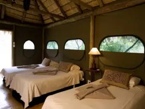 Wildside Camp