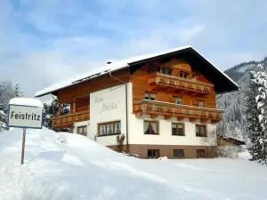 Haus Veidlis, Familie Obkircher