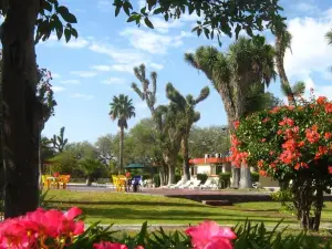 Hotel Las Palmas Midway Inn