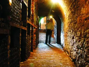 Weingut Martinshof