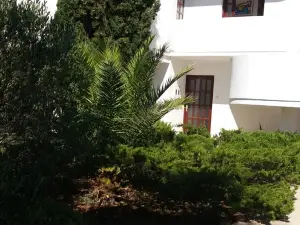 Apartment Delfina