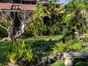 Maui Tranquility