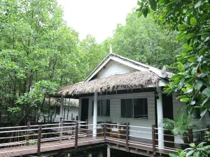 Mangrove Sanctuary Resort