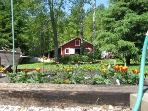 Chickadee Lane Bed & Breakfast