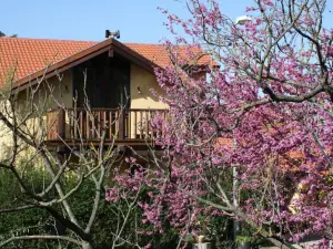 Suzanna in Odem