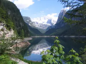 Ferien Urlaub Wandern Bei Elfi in Gosau Dachstein Pension