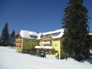 Burg Hotel Feldberg / Schwarzwald