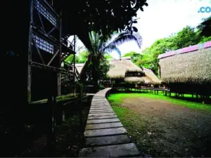 Jamu Lodge in the Cuyabeno Wildlife Reserve