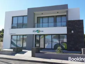 Al - Boa Nova
