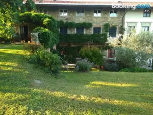 Il Glicine