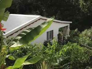 Les Gîtes de Casita by Kreyol Animal