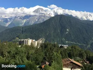 Fizhome Mt Blanc