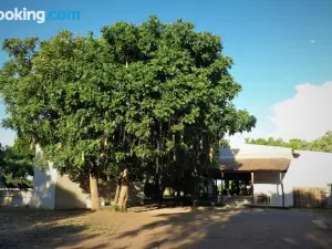 Msandile River Lodge