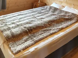 Finnset