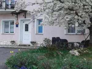 Guest House Surina