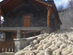 La Cabanya de Cal Forn de Serrat