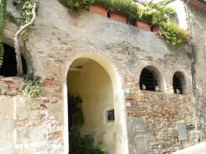 Casa David