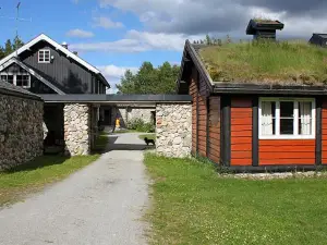 Femundtunet