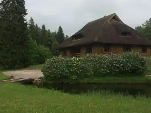 Mežupes