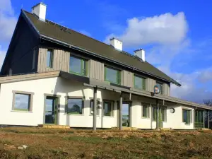 Chamedafne w Puszczy Kampinoskiej