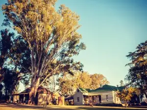 Dalmore Guest Farm