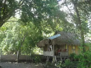 Lena House Flores