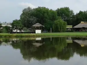 Cabañas la Aguada