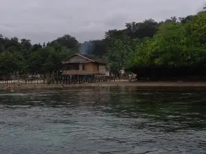 Indos Homestay Raja Ampat