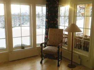 Nice Home in Trysil with 3 Bedrooms, Sauna and WiFi