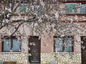 Las Casitas de Los Mata