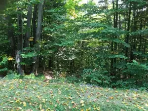 Blueberry Lake Resort