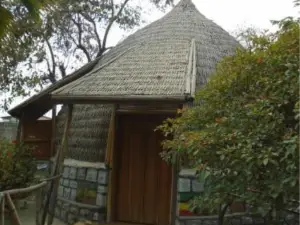 Zion Train Lodge Shashemene