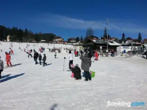 Pension Central Semmering