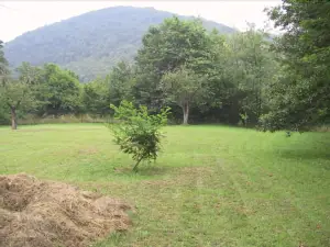 Country Villa Altare
