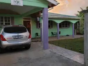 Matthew's Miracle View